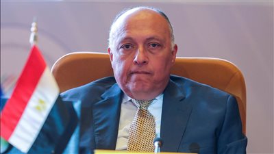 وزير الخارجية: 