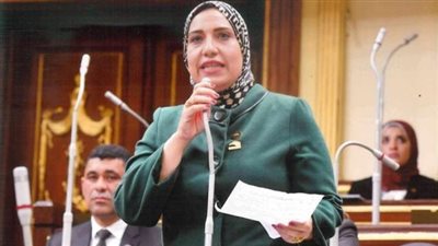 برلمانية: وزير الشباب ساهم في حماية الشباب من الأفكار الهدامة والمتطرفة