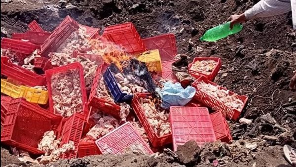 إعدام أغذية فاسدة