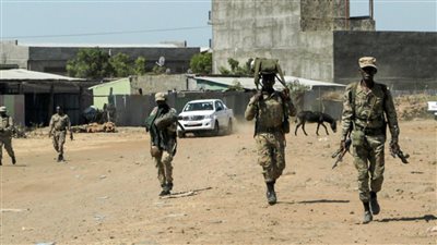 مصدر إريتري: حصار الجيش الإثيوبي لإقليم 