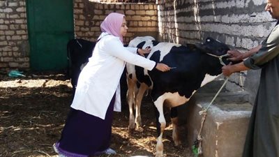 الزراعة: تحصين أكثر من 3.9 مليون جرعة ضد الحمي القلاعية والوادي المتصدع