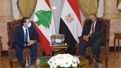  وزير الخارجية يستقبل سعد الحريري.. ويؤكد دعم مصر للبنان الشقيق