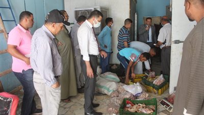 حملة موسعة لجهاز حماية المستهلك بقنا لضبط الأسواق قبل عبد الأضحى