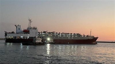 تفريغ 4997 رأس ماشية بميناء غرب بورسعيد (صورة) 