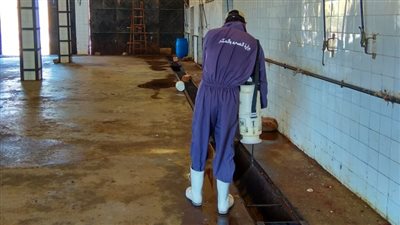 تطهير مجازر المنيا استعدادًا لعيد الأضحى