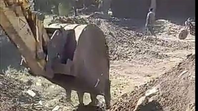 إزالة 3 حالات تعدٍ على أرضي زراعية بالفيوم (صور)