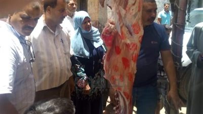 رئيس مدينة ملوى يوجه بتكثيف الحملات وتعقيم المجازر استعدادًا لاستقبال عيد الأضحى المبارك