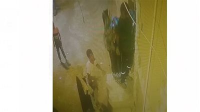 بالأسلحة البيضاء.. رجل وزوجته يعتديان على سيدة بحلوان لتركيبها كاميرات مراقبة (فيديو)