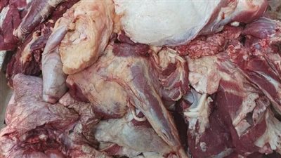 ضبط طن لحوم فاسدة تحمل أختامًا مزورة بسوهاج (صور)