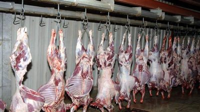 خبير يكشف الأسباب الحقيقية وراء ارتفاع أسعار اللحوم البلدية 20 جنيها للكيلو