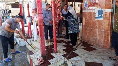 ضبط أطنان لحوم مجهولة المصدر داخل محلات جزارة بالشرقية (صور)
