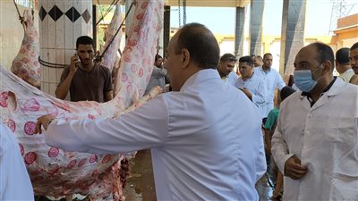 تصل لـ5000 جنيه.. فرض غرامات على ذبح الأضاحي بالشوارع في الشرقية