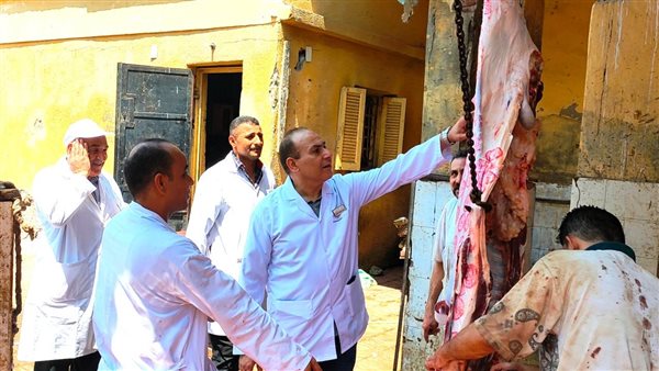 حملة مكبرة على المجازر