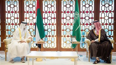 محمد بن زايد: الشراكة بين الإمارات والسعودية مستمرة لما فيه خير البلدين والمنطقة