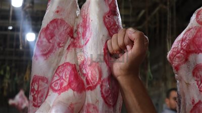  مدير مجزر البساتين: رسوم الذبح مجانًا وتكاليف الجزار يتحملها المُضحي (فيديو) 