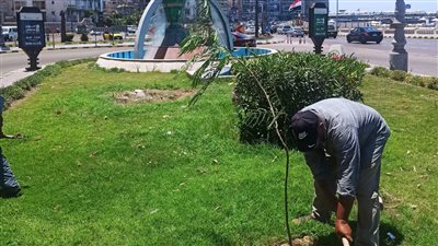 محافظ الإسكندرية: رفع كفاءة الحدائق والمسطحات الخضراء استعدادًا لعيد الأضحى المبارك