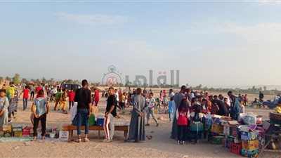 شباب وأطفال قنا يحتفلون بعيد الأضحى وسط المقابر (صور وفيديو)