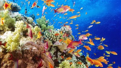 الإدارة المستدامة للمخلفات.. وزيرة البيئة تكشف جهود الوزارة للحفاظ على الموارد الطبيعية