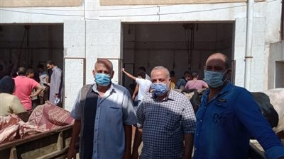 مجازر القليوبية تستقبل 108 أضاحي ثالث أيام العيد 