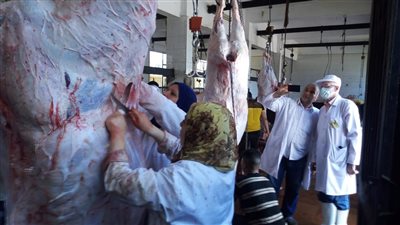 أهالي الغربية يواصلون ذبح الأضاحي في ثاني أيام العيد.. والمحافظ يتابع سير المجازر