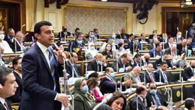 برلماني يتقدم بطلب إحاطة حول سوء تعامل سفارات وقنصليات أجنبية مع المصريين