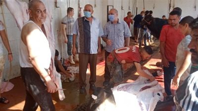 مجازر القليوبية تستقبل 369 أضحية في ثاني أيام العيد