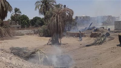 حريق هائل يلتهم شونة 