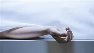 بسبب مشاجرة بينهما.. تفاصيل مصرع سيدة طعنًا على يد زوجها بالنزهة | فيديو