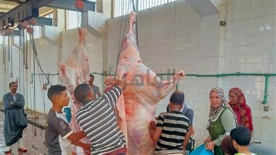 رئيس مدينة سمالوط يتابع سير العمل بالمجازر وذبح 38 رأس أضحية بثالث أيام عيد الأضحى المبارك