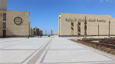 الطب 83% والهندسة 68%.. «الأعلى للجامعات» يعلن تنسيق جامعة الملك سلمان الدولية