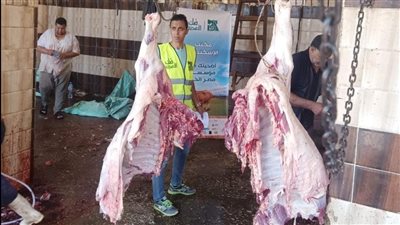 الدقهلية تتسلم 3 أطنان لحوم أضاحي الأوقاف.. والمحافظ: نوصلها للمستحقين بعزة وكرامة