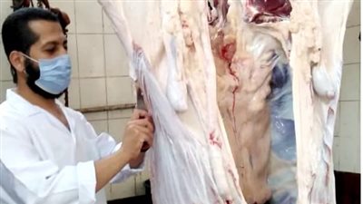 ذبح 1178 أضحية بالمجان في مجازر الغربية خلال أيام عيد الأضحى المبارك