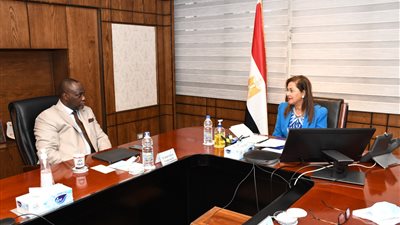 رئيس مؤسسة التمويل الإفريقية: نتطلع لإتمام العضوية الكاملة لمصر