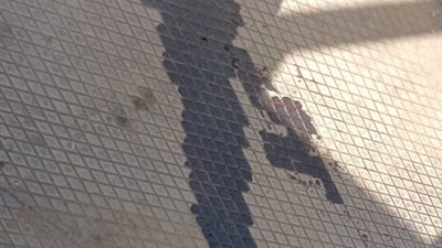 النيابة تأمر بعرض قاتل سيدة بالجيزة على الطب النفسي