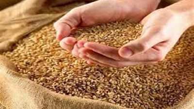 ذاكرة الأمثال (14).. 