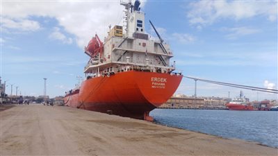 موانئ شرق وغرب بورسعيد والعريش تستقبل 229 سفينة خلال يونيو