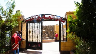 ننشر أسماء المحامين الجدد الذين اجتازوا الكشف الطبي بالقاهرة