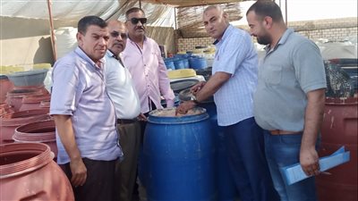 ضبط 34 طن مخلل فاسد في حملة مكبرة بالبحيرة