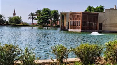 إقبال متوسط من المواطنين على حديقة الأزهر