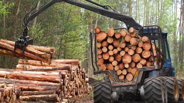 صناعة الأخشاب