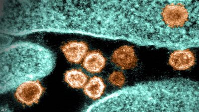 كفر الشيخ تسجل 9 حالات إصابة بكورونا خلال 24 ساعة 