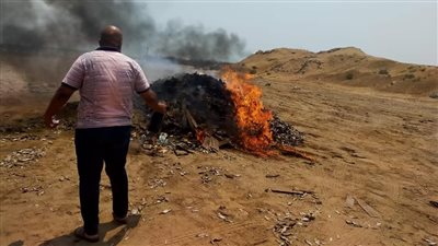 إعدام كميات كبيرة من أسماك الزريعة المُجرم صيدها بكفر الشيخ (صور وفيديو)