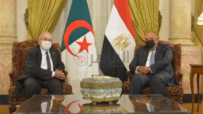 سامح شكري: اتفقنا مع الجزائر على العمل المشترك لمواجهة تحديات المنطقة