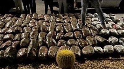 إحباط محاولة تهريب نصف طن من مخدر البانجو بمحور قناة السويس