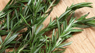 تقلل من مشاكل الذاكرة.. دراسة تكشف فوائد تناول الروزماري