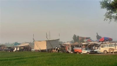 ننشر الصور الأولى لأكبر سوق مواشي بالشرقية بعد نقله لـ 