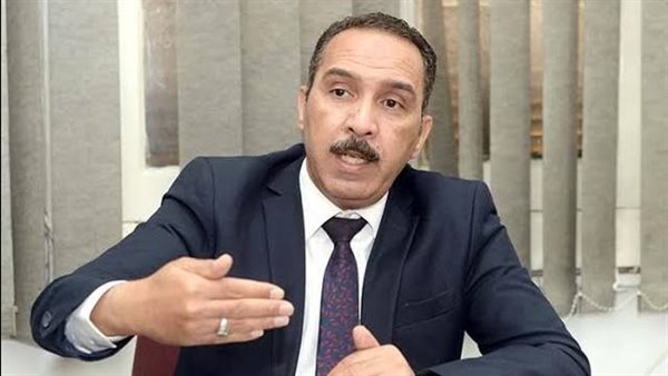 الدكتور محمد عبدالفتاح