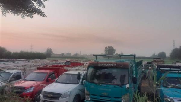 سوق المواشي - أرشيفية