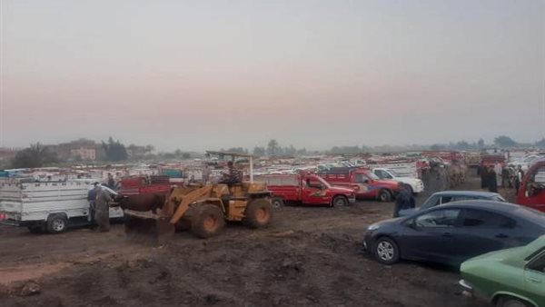 سوق المواشي - أرشيفية