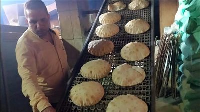 ضبط 14 مخبزًا بلدي مخالف و9 محلات لإقامة أوكازيون دون ترخيص بالبحيرة